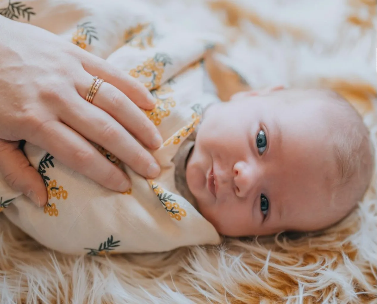 Familie: Neugeborenes – SOPHIA TAN PHOTO