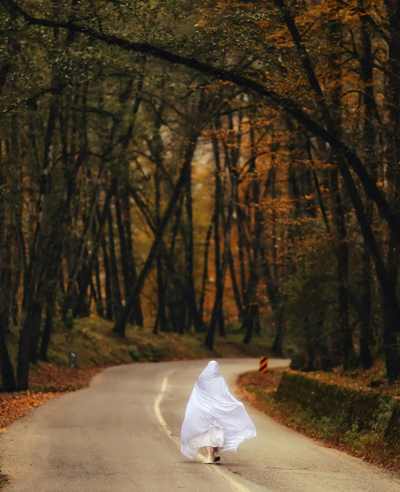 Porträt: Herbstweg